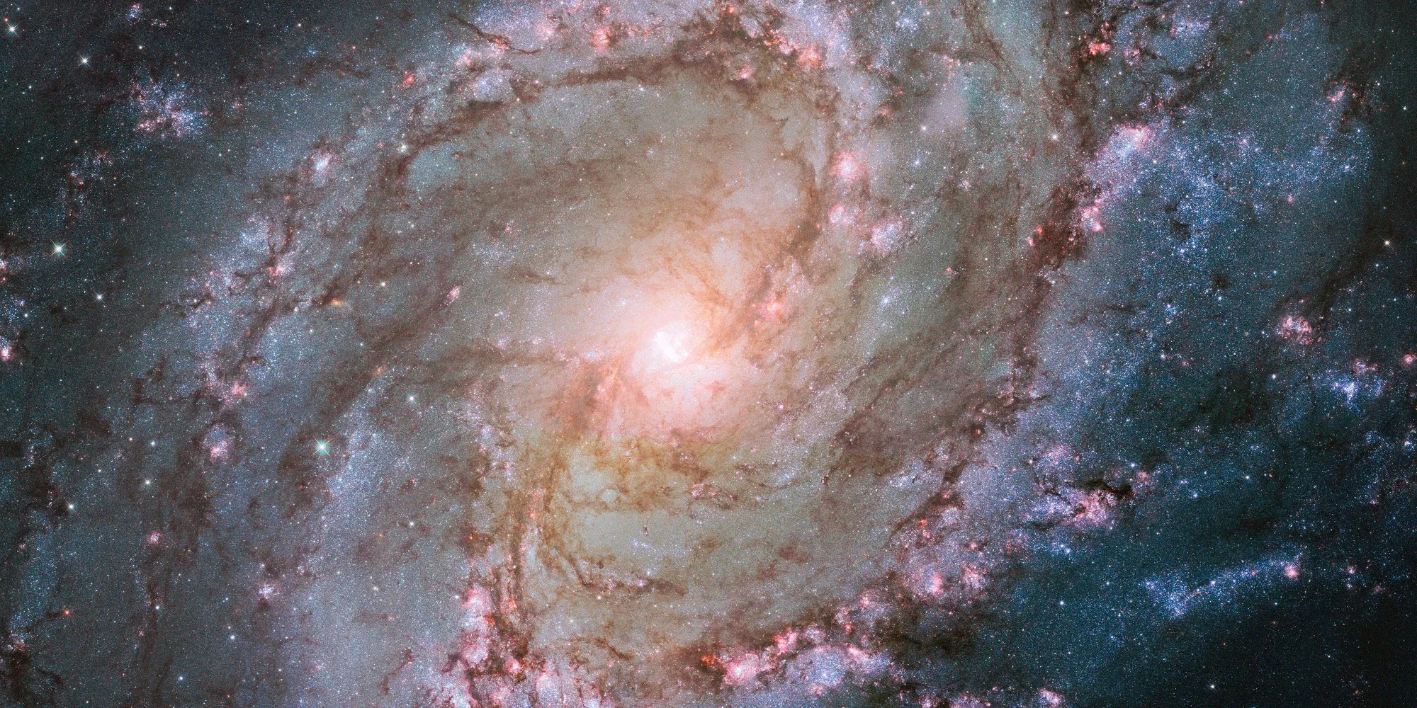 Hubble Space Telescope