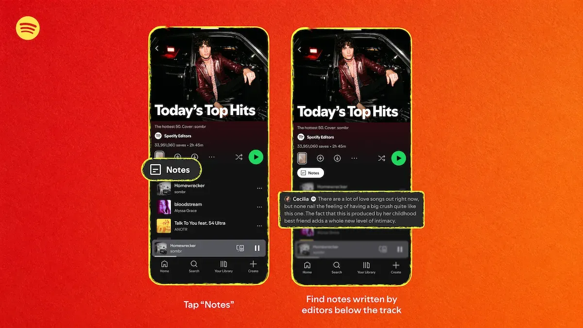 Notas de Playlist: Justificaciones Musicales