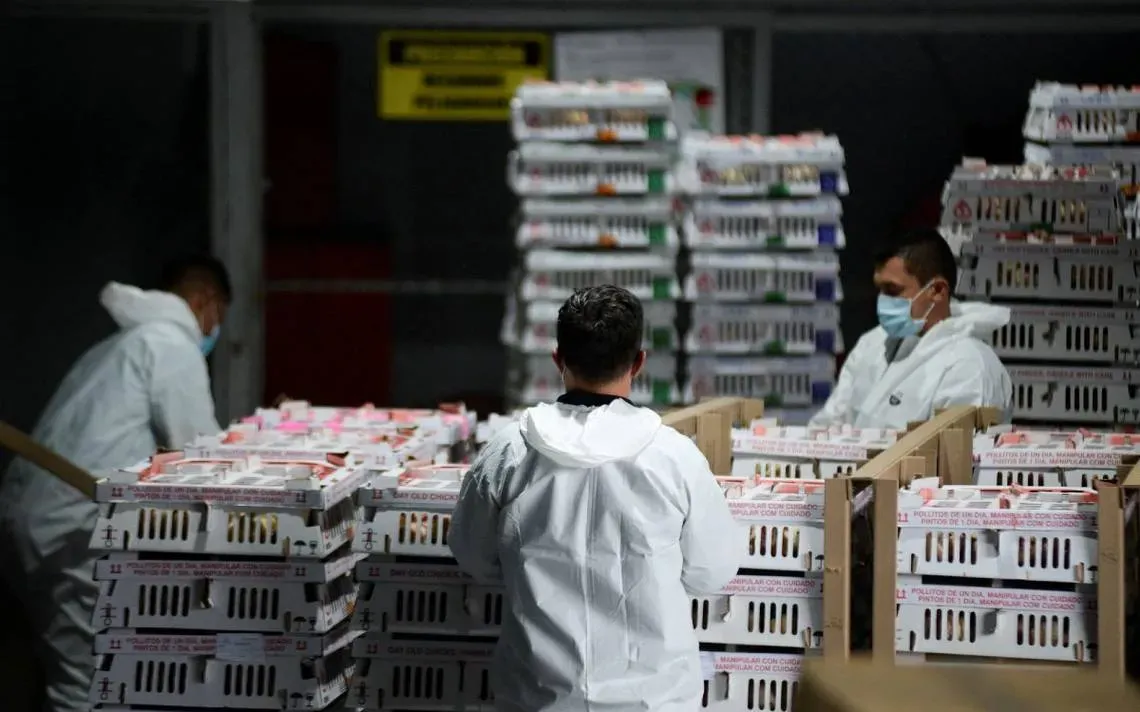 OCDE reduce a 2.3% previsión de crecimiento PIB de México