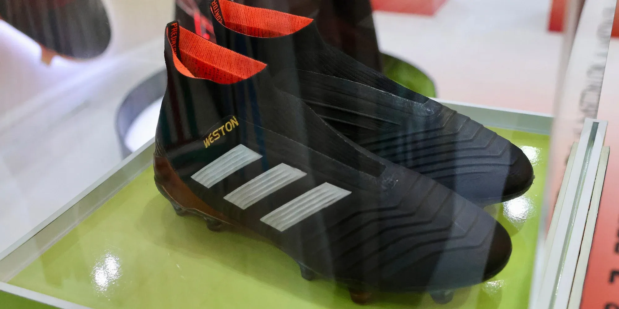 Paul Pogba