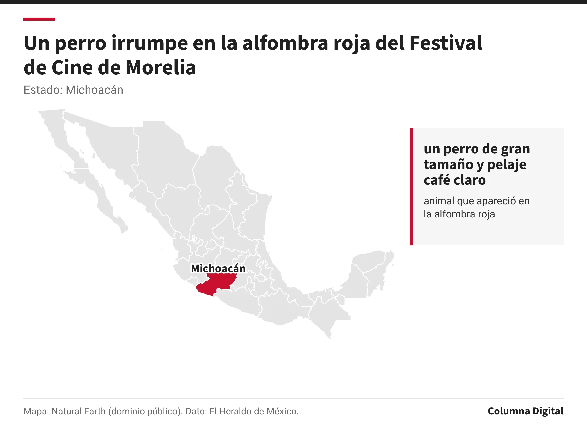Mapa de México con Michoacán resaltado; un perro de gran tamaño y pelaje café claro: animal que apareció en la alfombra roja.