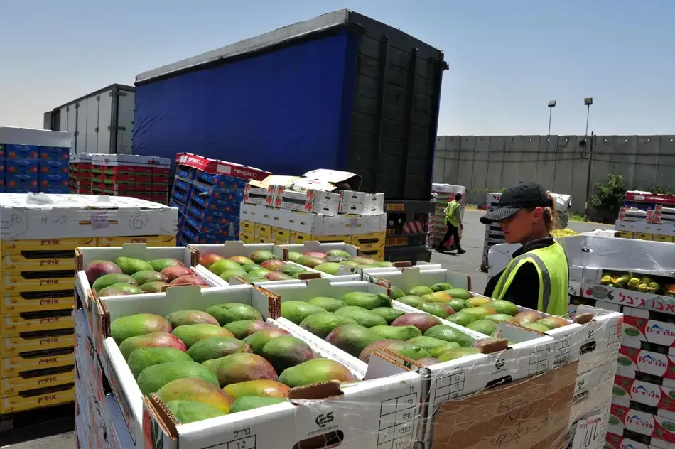 Pesticidas vetados en alimentos europeos