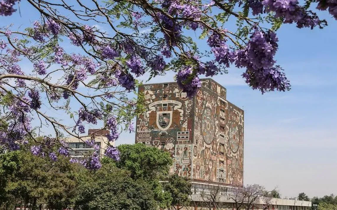 Propone AMLO que universidades públicas rindan informes financieros trimestrales