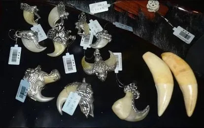 ¿Qué es lo que estarías dispuesto a hacer para evitar la extinción de una especie animal?