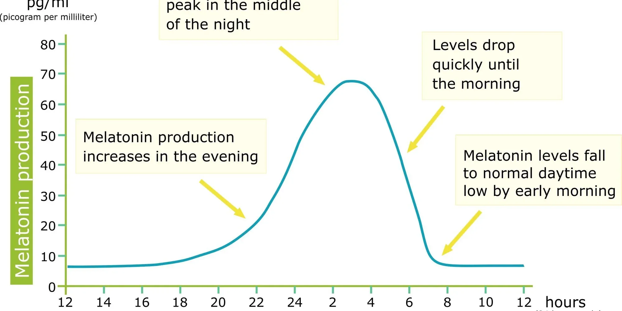 sleep schedule