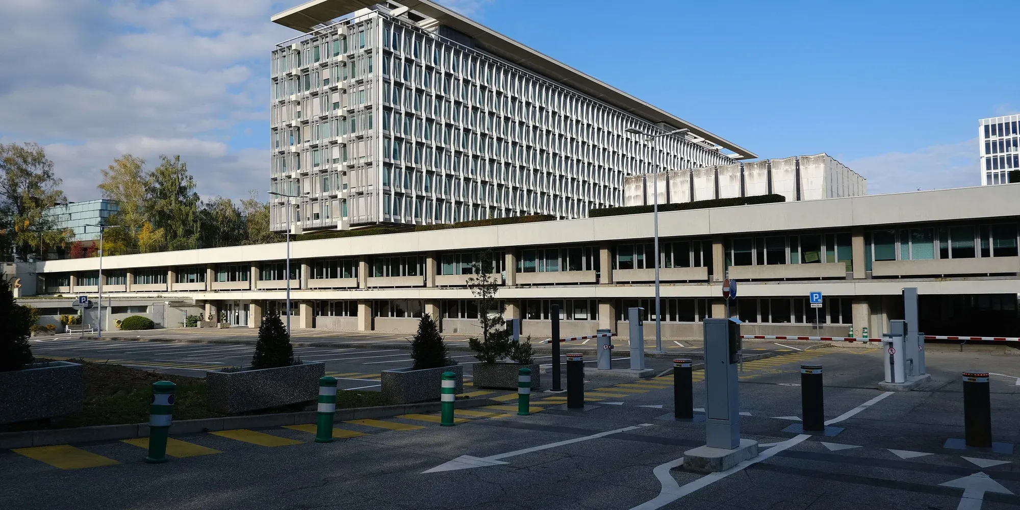 World Health Organization
