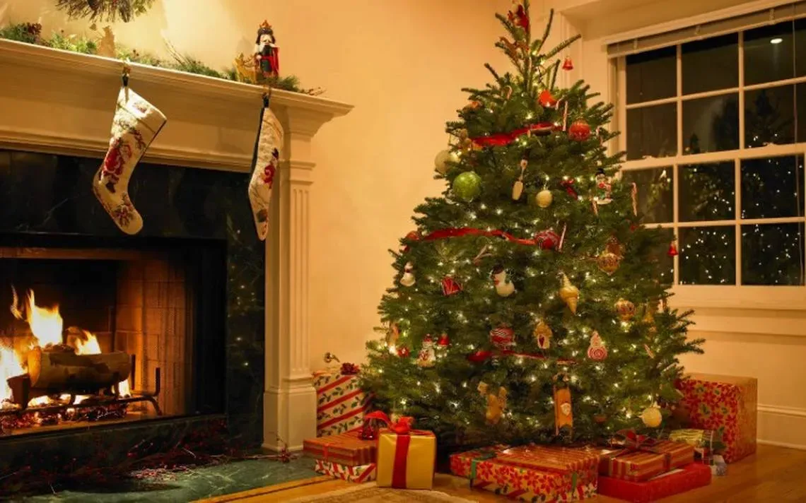 Sabías que puedes cambiar tu arbol de navidad por una plantita