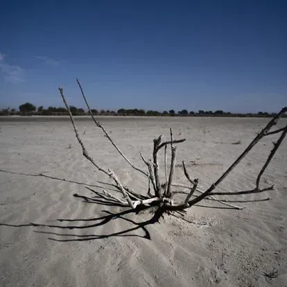 Se encuentra desolada la tierra de la mayor laguna de Doñana