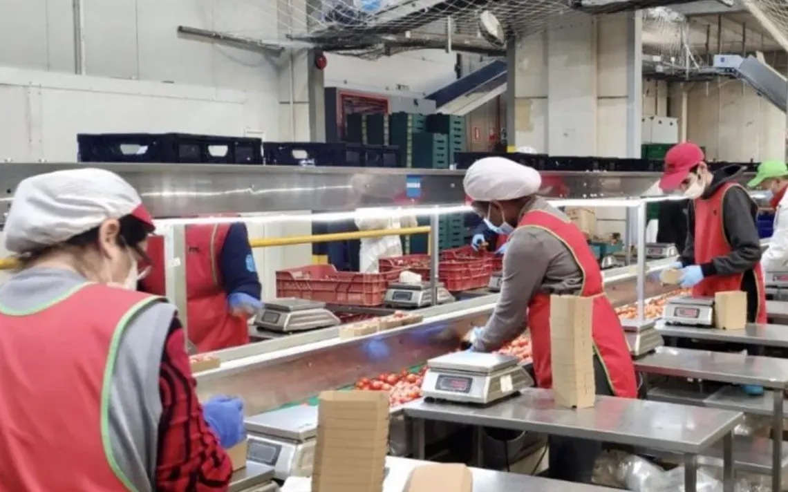 Sector alimenticio y del comercio lograron aumentos salariales