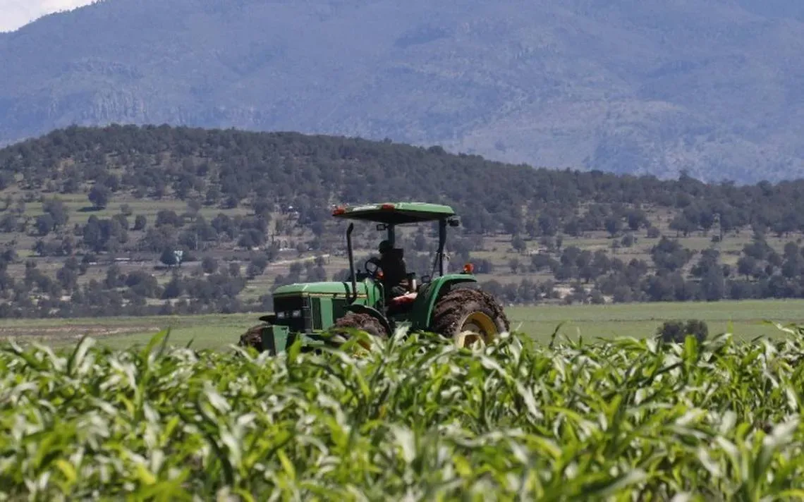 Sin presupuesto para el campo en 2022 y posible tasa impositiva a los agricultores