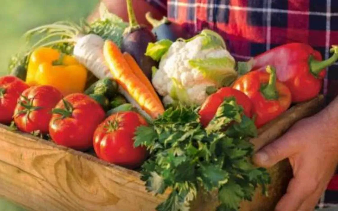 Tiendas de autoservicio ya tienen vegetales con sello especial de Senasica