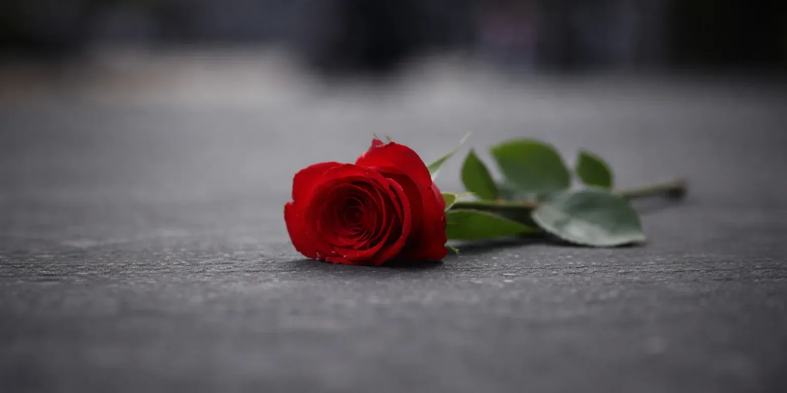 Tres mujeres son asesinadas cada día en México en septiembre de 2026