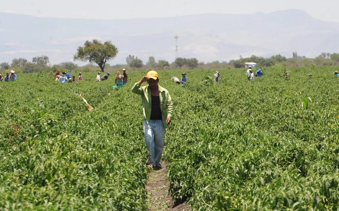 ¡Un día sin migrantes!: El movimiento promovido para una reforma migratoria