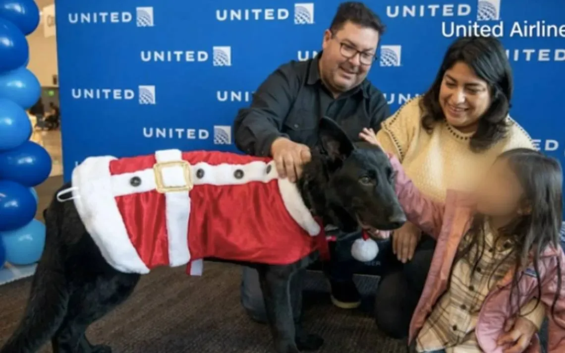 Un nuevo hogar para Polaris, el perrito abandonado en el aeropuerto de San Francisco