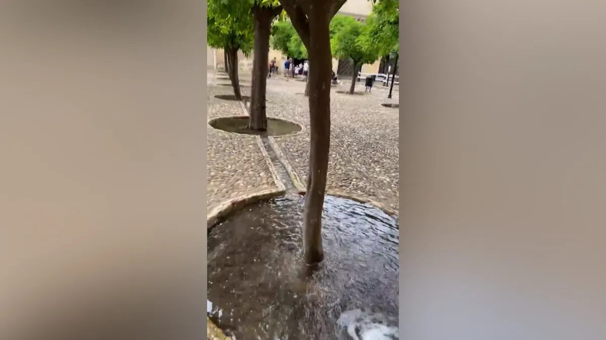 Una estadounidense se asombra con la acequia.