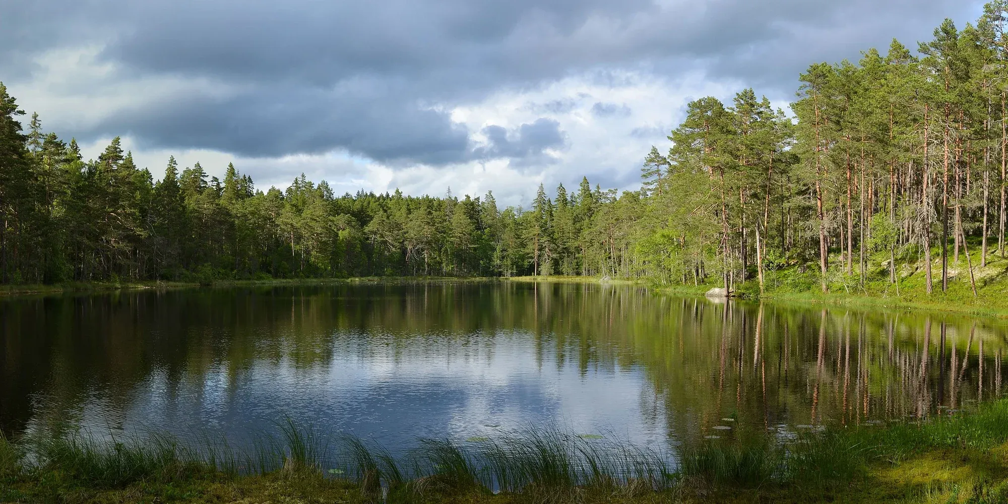 Sweden parks
