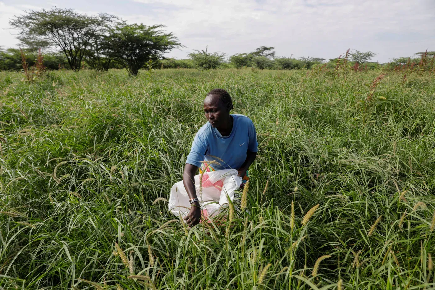 Wefarm: La búsqueda de una mejora en los cultivos agrícolas en Kenia