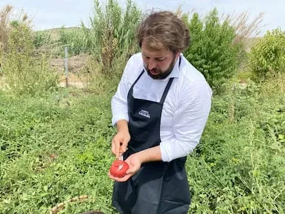 Los sabores perdidos del tomate