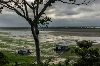 El río Amazonas está en niveles mínimos a su paso por Brasil por la sequía, que afecta ya a todos los 62 municipios que componen el Estado de Amazonas.