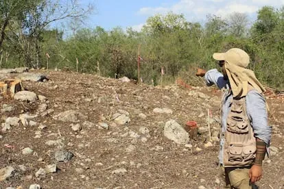 Labores de exploración en las zonas arqueológicas.