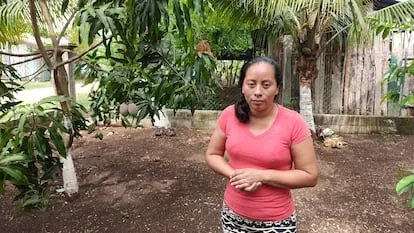 Estela Gutiérrez es una de las beneficiarias que ha recibido cinco árboles apadrinados de los que obtiene naranjas, mandarinas, chicles y mangos: “Han ayudado bastante a la economía familiar, porque m