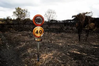 Daños provocados por el incendio forestal en la Sierra de la Culebra, este lunes.