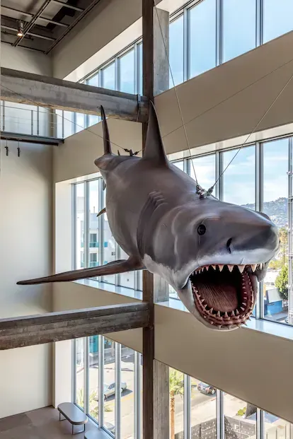El animatronic de 'Tiburón', donado por Steven Spielberg.