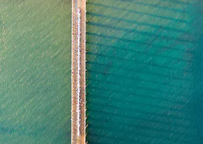 Cena organizada en el puerto de Malibú (california, EE UU).