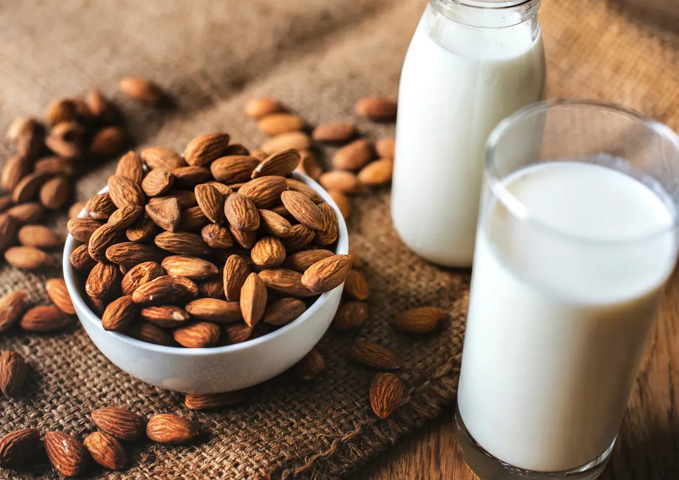 Leche de avena, leche de soja, leche de almendra: propiedades y recetas para usarlas