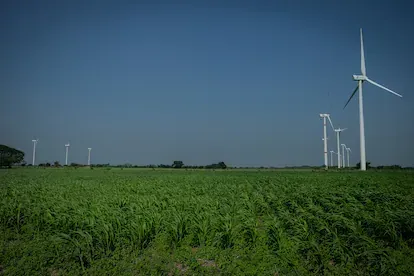Tanto la señora Guadalupe Ramírez, 'Na Lupita', como otras personas de la comunidad lograron que los aerogeneradores no se instalaran en sus tierras. Por ello, tanto en el parque de Demex como en otro