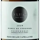 Te presentamos los 12 mejores vinos por excelencia