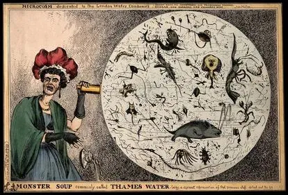 Ilustración de Thames Water (la compañía de agua londinense) también del siglo XIX y que ejemplifica la cantidad de enfermedades que pueden darse a través de la contaminación del agua como el propio c