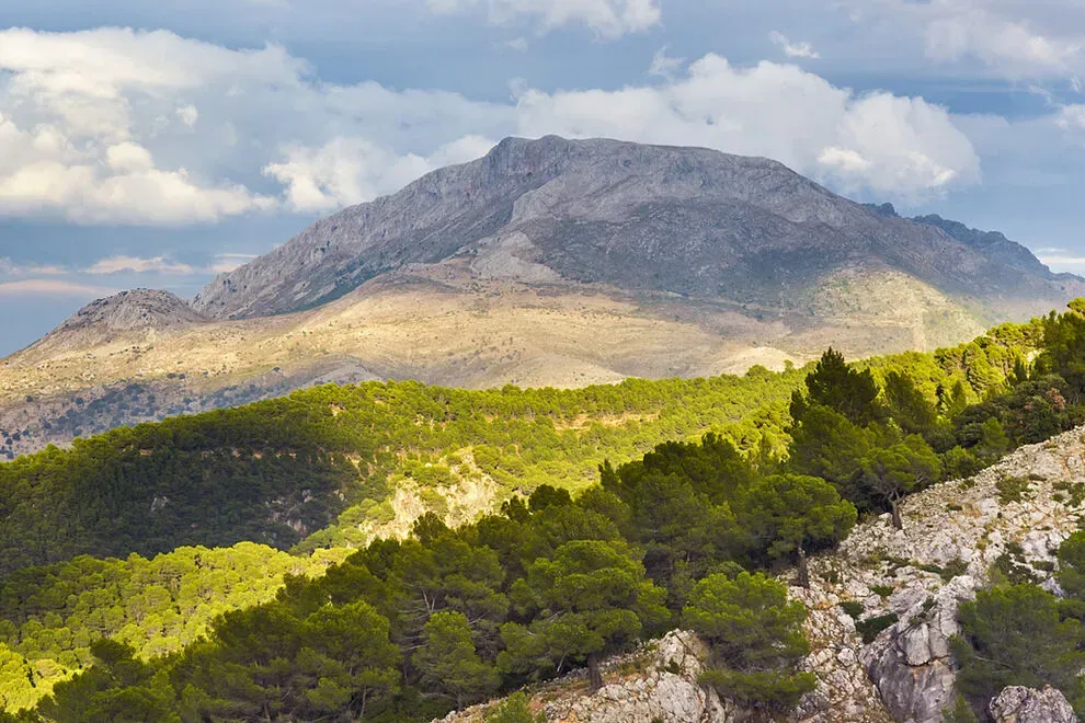 Así es la Sierra de las Nieves, el nuevo y flamante parque nacional español  | España