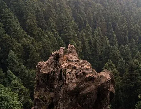 Date una escapada a la naturaleza: descubre unas cabañas, comida deliciosa y una cascada a solo 1 hora de CDMX