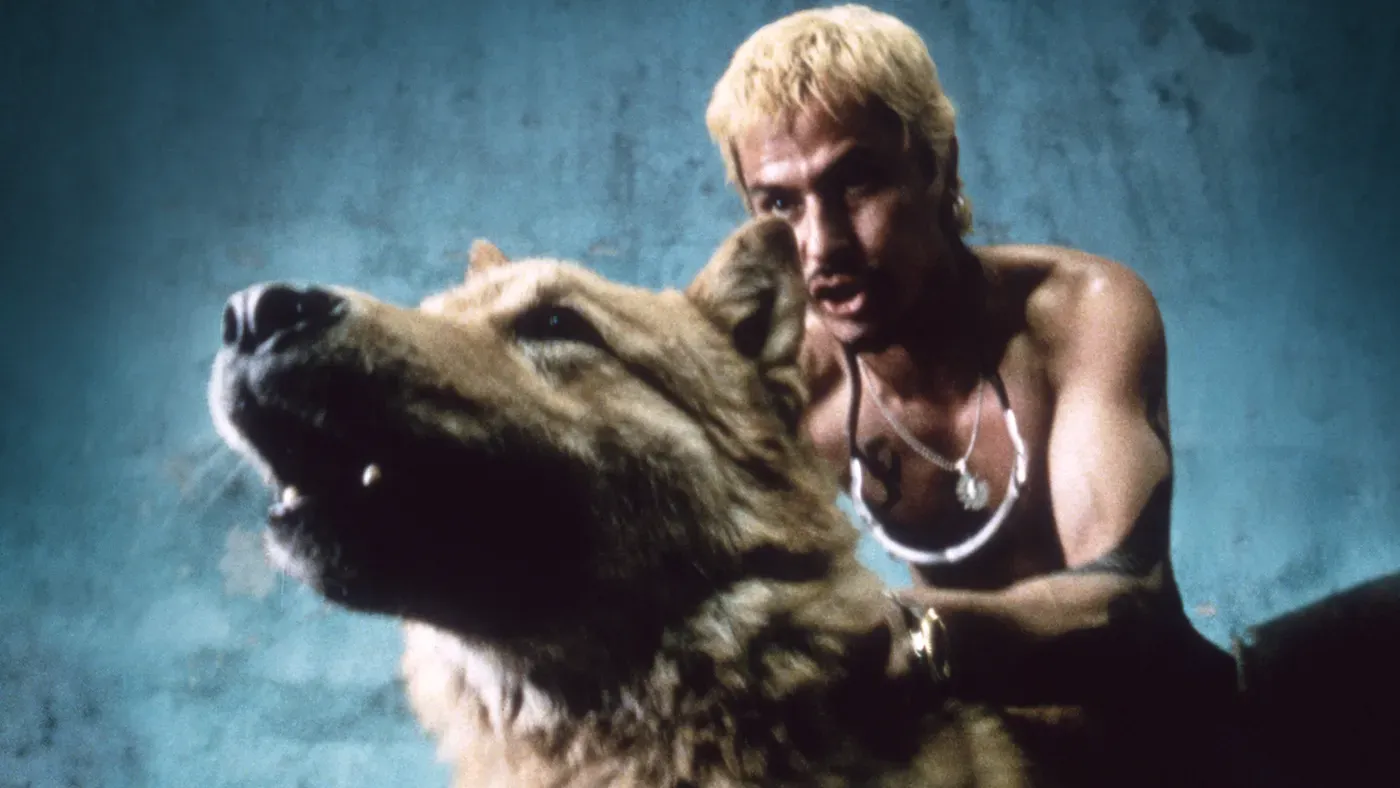 Fotograma de la cinta, amores perros
