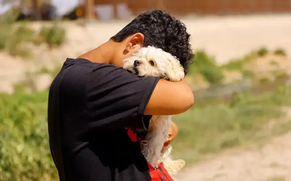 USA-IMMIGRATION/MEXICO-DOG