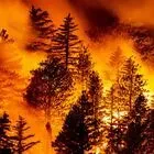Monrovia (United States), 12/09/2020.- The Bobcat Fire progresses in the woods in the Angeles National Forest north of Monrovia, North East of Los Angeles, California, USA, 11 September 2020 (issued 1
