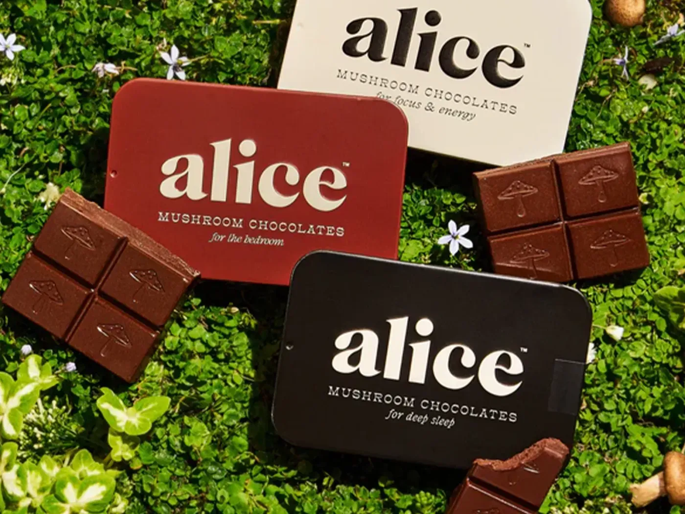 Conjunto de Hongos de Alice