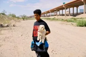 USA-IMMIGRATION/MEXICO-DOG