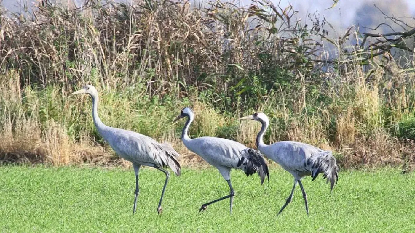 La provincia de Ciudad Real: un territorio de gran riqueza natural