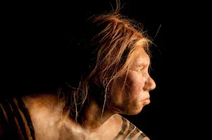 Recreación de una mujer neandertal por los artistas holandeses Andrie y Alfons Kennis.