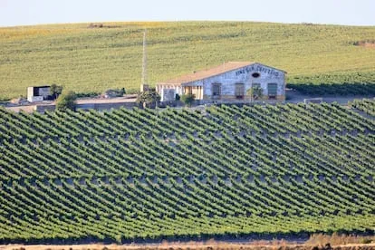 La casa de viñas de San Cayetano, en Jerez de la Frontera.
