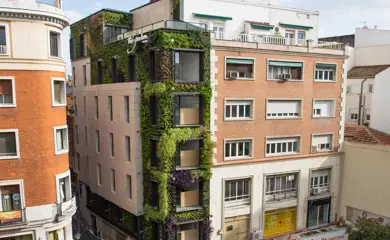 verticales; los edificios como árboles las ciudades como bosques – Columna Digital
