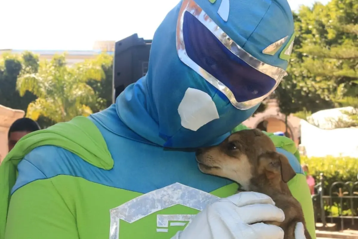Te presentamos a Zadrig Man!: El superhéroe que rescata perritos – Columna  Digital