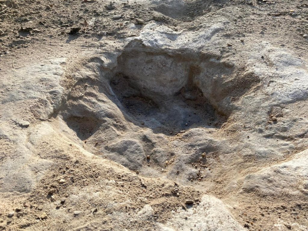 Facebook @DinosaurValleyStatePark
