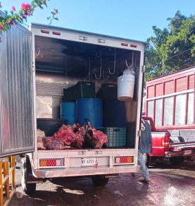 La carne se transporta en 