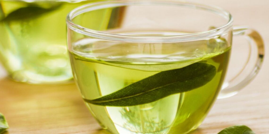 Té de hojas de aguacate: una infusión deliciosa con grandes beneficios