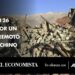 Al menos 126 muertos por un fuerte terremoto en el Tíbet chino