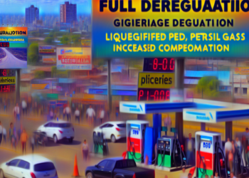 Gobierno argentino desregula el mercado del gas licuado