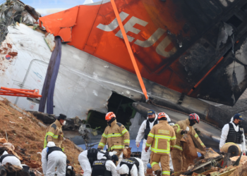 Los pájaros, pesadilla de los pilotos, están detrás de muchos incidentes aéreos